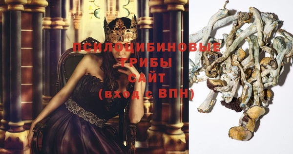 крисы Алексеевка